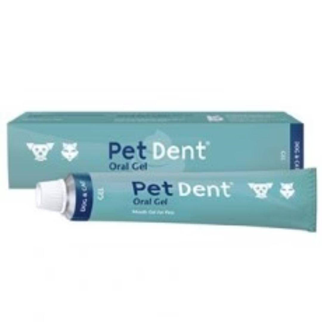 Kyron Dog - Pet Dent Oral Gel 1