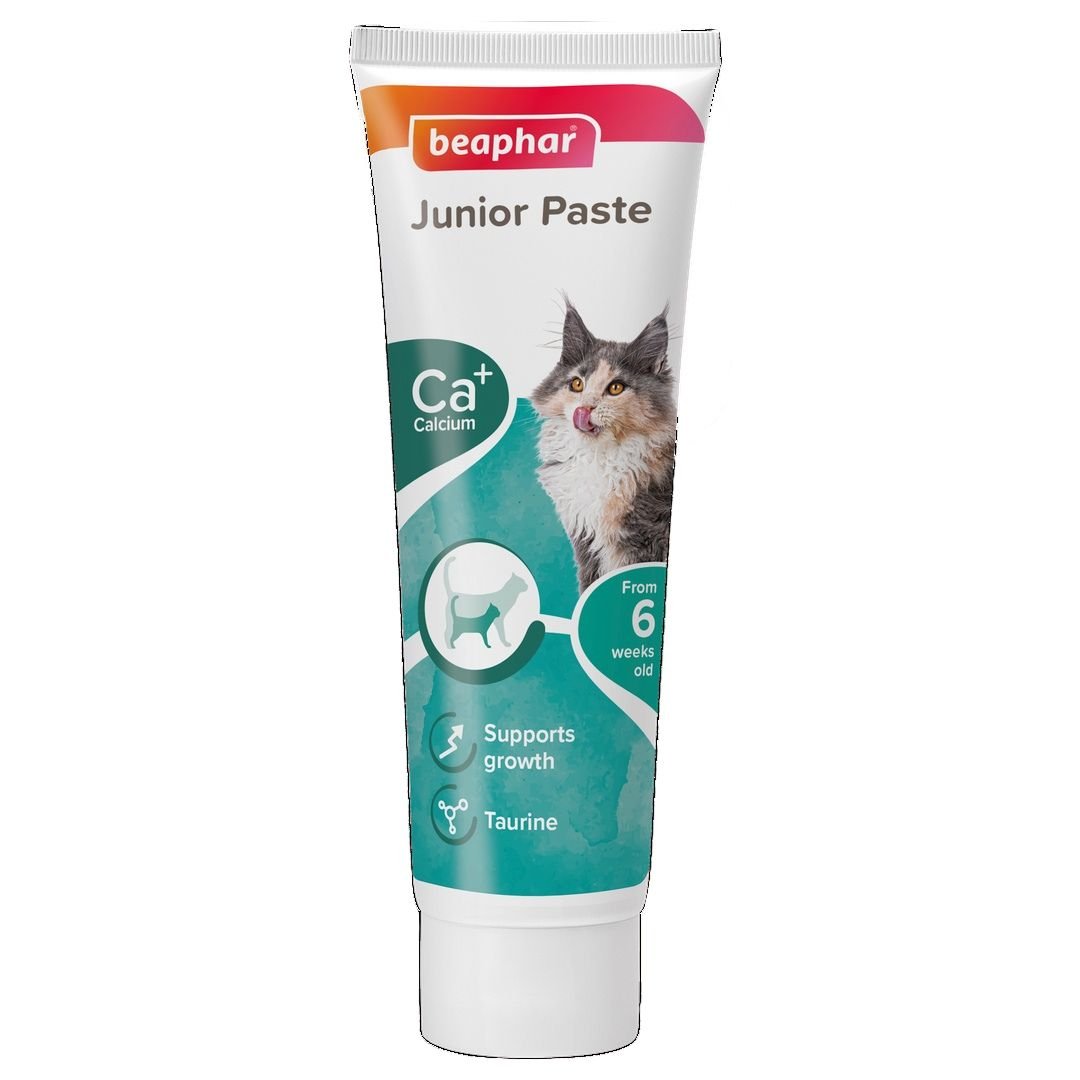 BEAPHAR CAT JUNIOR PASTE 1