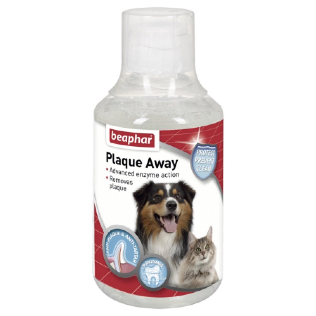 BEAPHAR DOG CAT MOUTH WASH 1