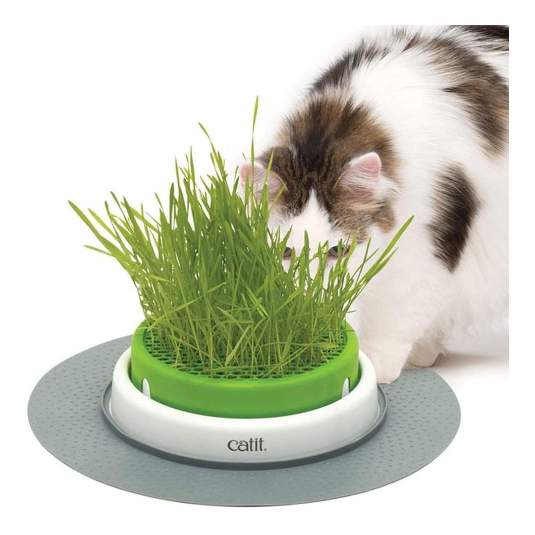 CATIT CAT SENSES GRASS PLANTER 1
